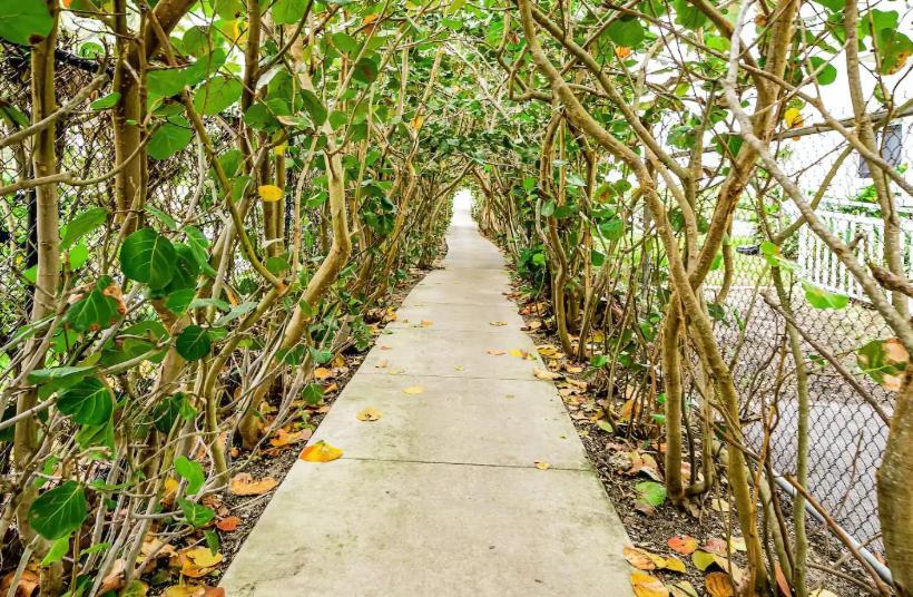 Dog Friendly Condo With Beach Access, Hot Tub, Firepit West Palm Beach Exteriér fotografie